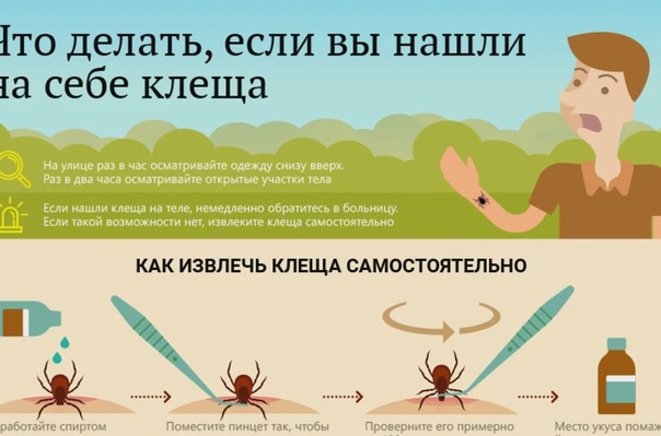 Клещи.